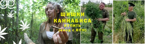мяу мяу мука Абинск