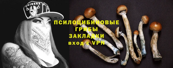 мяу мяу мука Абинск