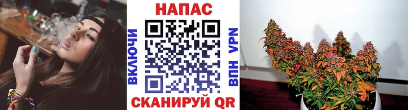 гидра ссылка  Правдинск  Бошки Шишки White Widow 